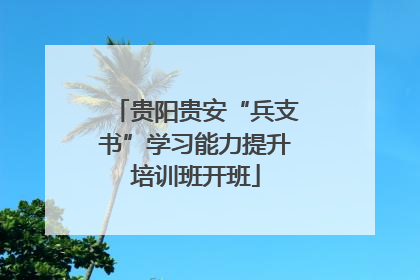 贵阳贵安“兵支书”学习能力提升培训班开班
