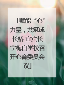 赋能“心”力量，共筑成长桥 宜宾长宁梅白学校召开心育委员会议