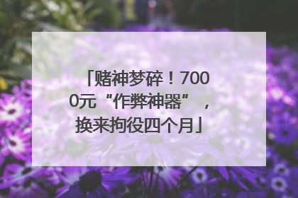 赌神梦碎！7000元“作弊神器”，换来拘役四个月