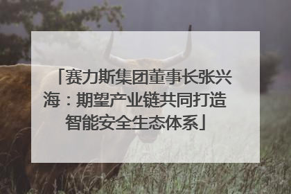 赛力斯集团董事长张兴海：期望产业链共同打造智能安全生态体系