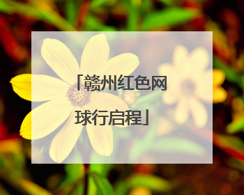 赣州红色网球行启程