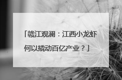 赣江观澜：江西小龙虾何以撬动百亿产业？
