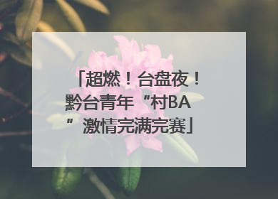 超燃！台盘夜！黔台青年“村BA”激情完满完赛