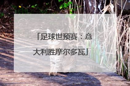 足球世预赛：意大利胜摩尔多瓦
