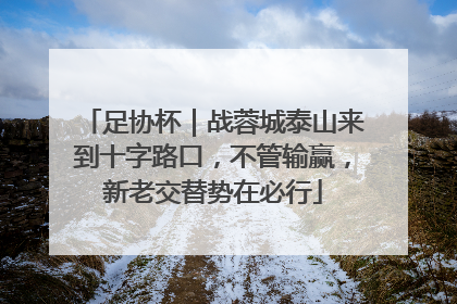 足协杯｜战蓉城泰山来到十字路口，不管输赢，新老交替势在必行