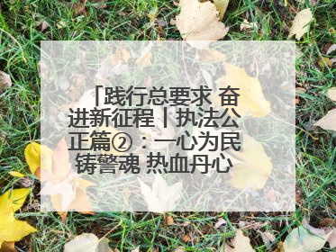 践行总要求 奋进新征程丨执法公正篇②：一心为民铸警魂 热血丹心守平安