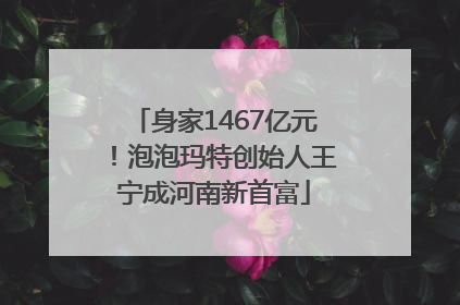 身家1467亿元！泡泡玛特创始人王宁成河南新首富
