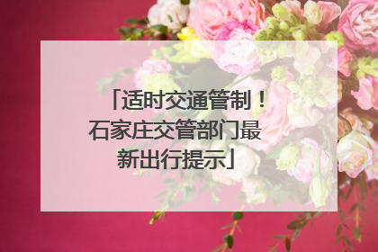适时交通管制！石家庄交管部门最新出行提示