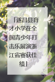 遂昌县育才小学在全国青少年打击乐展演浙江省赛获佳绩