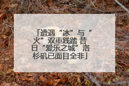 遭遇“冰”与“火”双重践踏 昔日“爱乐之城”洛杉矶已面目全非