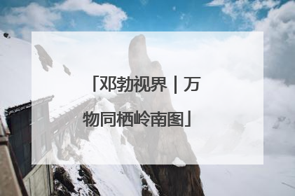 邓勃视界｜万物同栖岭南图