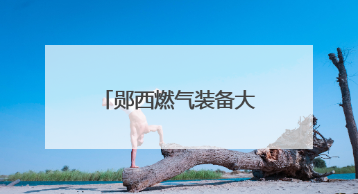 郧西燃气装备大会签约超113亿元，产业“链”动中西部新未来