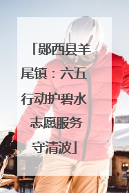 郧西县羊尾镇：六五行动护碧水 志愿服务守清波