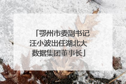 鄂州市委副书记汪小波出任湖北大数据集团董事长
