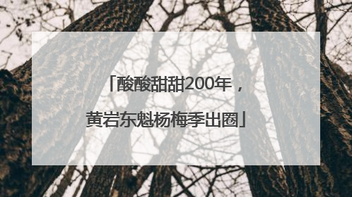 酸酸甜甜200年，黄岩东魁杨梅季出圈
