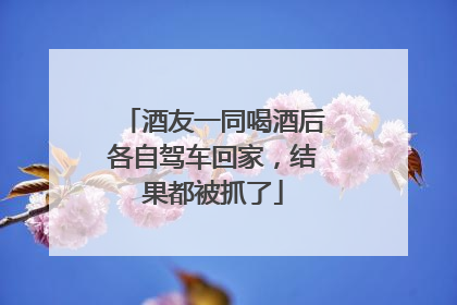 酒友一同喝酒后各自驾车回家，结果都被抓了