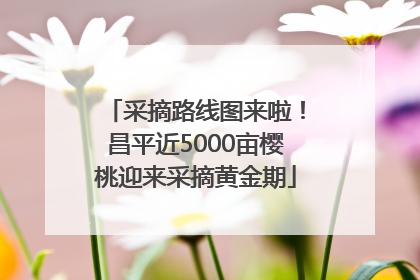 采摘路线图来啦！昌平近5000亩樱桃迎来采摘黄金期