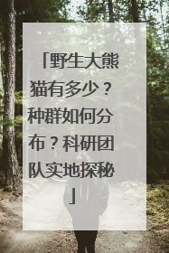 野生大熊猫有多少？种群如何分布？科研团队实地探秘