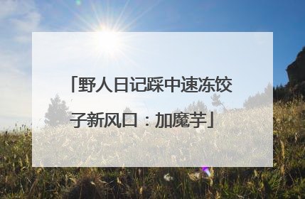 野人日记踩中速冻饺子新风口：加魔芋