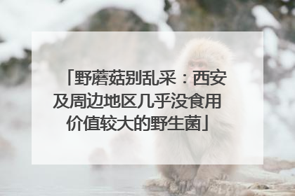 野蘑菇别乱采：西安及周边地区几乎没食用价值较大的野生菌