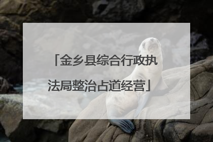 金乡县综合行政执法局整治占道经营
