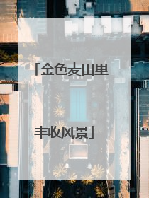 金色麦田里丰收风景