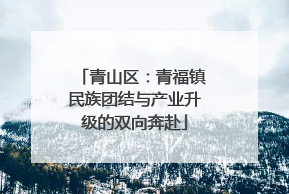 青山区：青福镇民族团结与产业升级的双向奔赴