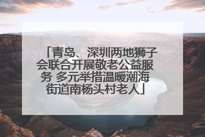 青岛、深圳两地狮子会联合开展敬老公益服务 多元举措温暖潮海街道南杨头村老人