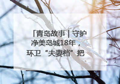 青岛故事｜守护净美岛城18年，环卫“夫妻档”把青岛当第二个家