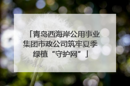 青岛西海岸公用事业集团市政公司筑牢夏季绿植“守护网”