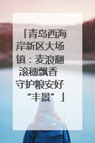 青岛西海岸新区大场镇：麦浪翻滚穗飘香 守护粮安好“丰景”