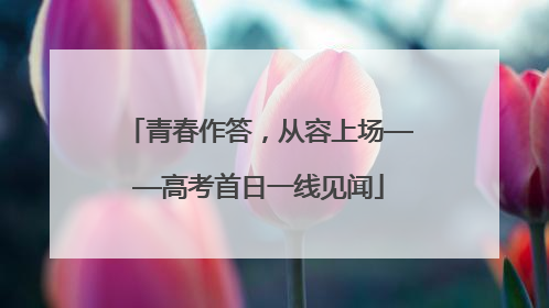 青春作答，从容上场——高考首日一线见闻