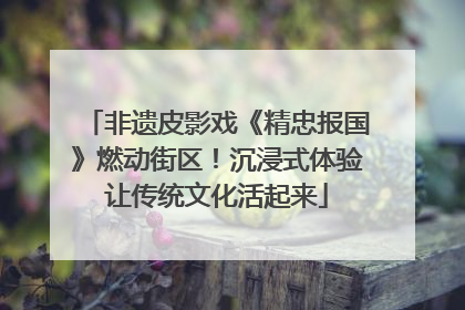 非遗皮影戏《精忠报国》燃动街区！沉浸式体验让传统文化活起来