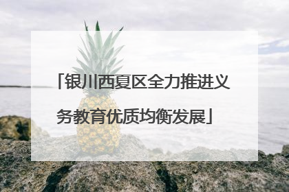 银川西夏区全力推进义务教育优质均衡发展
