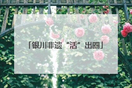 银川非遗“活”出圈