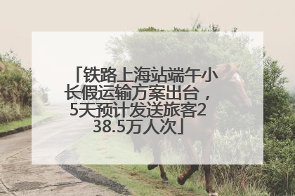 铁路上海站端午小长假运输方案出台，5天预计发送旅客238.5万人次
