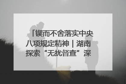 锲而不舍落实中央八项规定精神｜湖南探索“无扰督查”深化基层减负