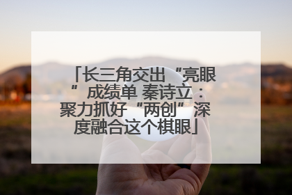 长三角交出“亮眼”成绩单 秦诗立：聚力抓好“两创”深度融合这个棋眼