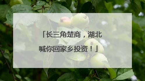 长三角楚商，湖北喊你回家乡投资！