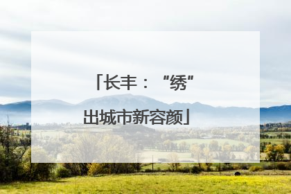 长丰：“绣”出城市新容颜