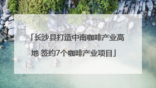 长沙县打造中南咖啡产业高地 签约7个咖啡产业项目