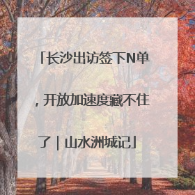 长沙出访签下N单，开放加速度藏不住了｜山水洲城记