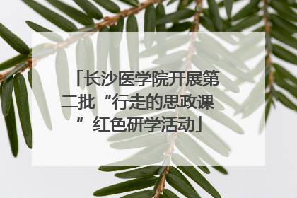 长沙医学院开展第二批“行走的思政课”红色研学活动