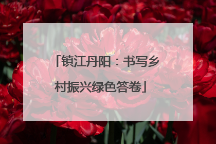 镇江丹阳：书写乡村振兴绿色答卷