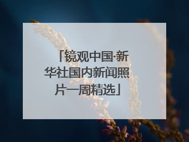 镜观中国·新华社国内新闻照片一周精选
