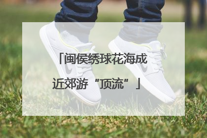 闽侯绣球花海成近郊游“顶流”