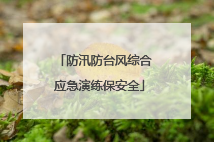 防汛防台风综合应急演练保安全