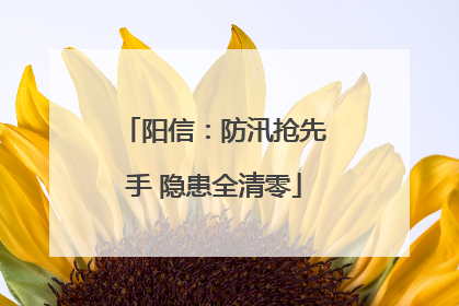 阳信：防汛抢先手 隐患全清零