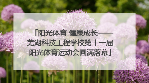 阳光体育 健康成长——芜湖科技工程学校第十一届阳光体育运动会圆满落幕