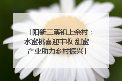 阳新三溪镇上余村：水蜜桃喜迎丰收 甜蜜产业助力乡村振兴